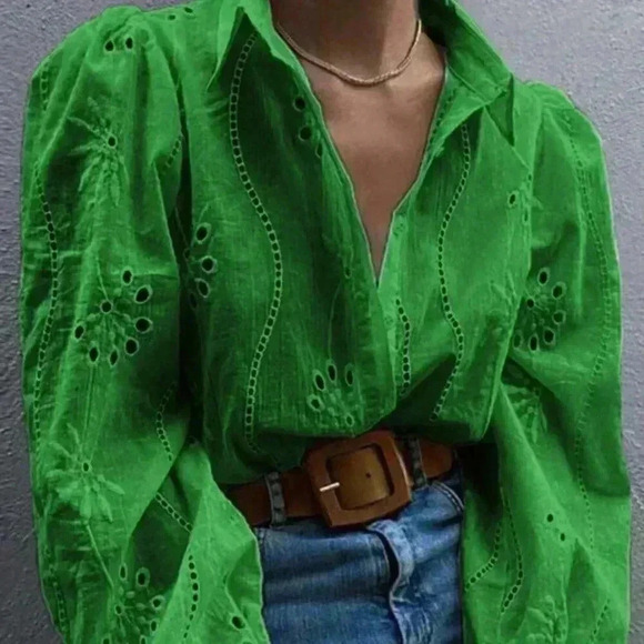 Green Casual Women's Hollow-Out Embroidery Turn-Down Collar Long Sleeve Top - Picture 1 of 5